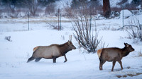 Plowing Through